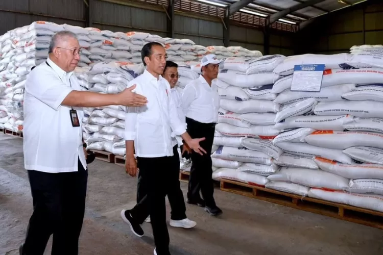 Penyaluran Bantuan Pangan Di Tegal Diperiksa Oleh Presiden Jokowi: Jika ...