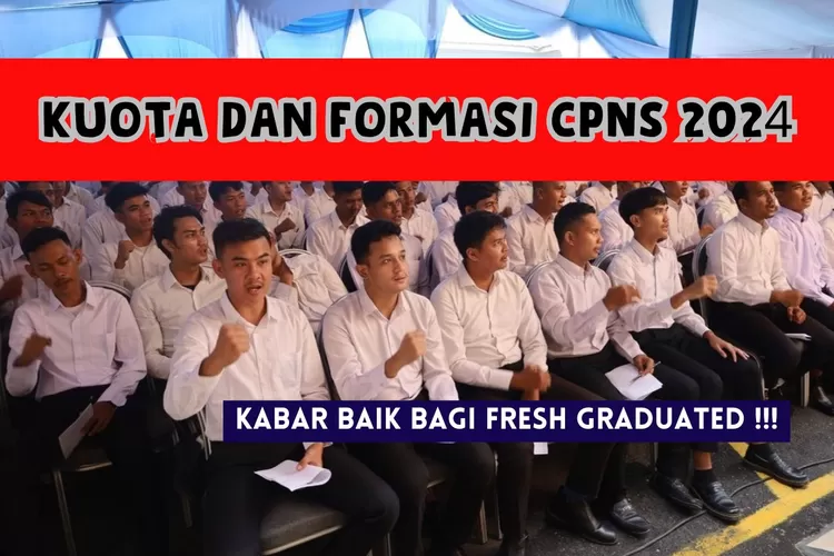 Kuota dan Formasi CPNS 2024, 30 Persen untuk Fresh Graduate, Tamatan