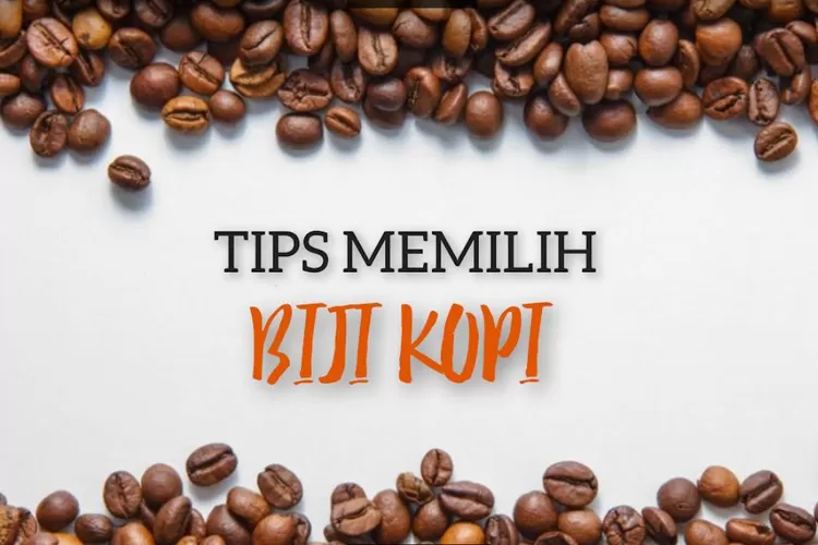 3 Tips Memilih Biji Kopi Berkualitas Bagus Cocok Untuk Pemula Yang Ingin Mengolah Sendiri 1232