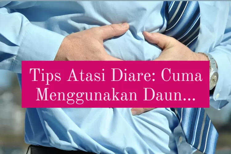 Tips Atasi Diare Dengan Menggunakan Khasiat Daun Yang Satu Ini Tidak Perlu Jauh Jauh Membeli 4041