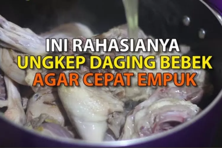 Cara Mudah Memasak Daging Bebek Agar Cepat Empuk Dan Tak Bau Amis: Tips ...