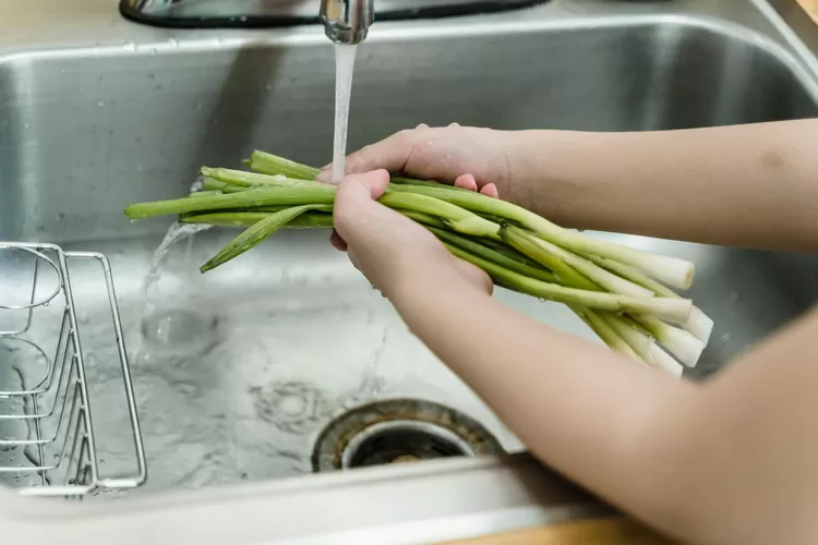 Ternyata Daun Bawang Bisa Jadi Minyak Loh Ini Dia Tips Mengolah Daun Bawang Menjadi Minyak