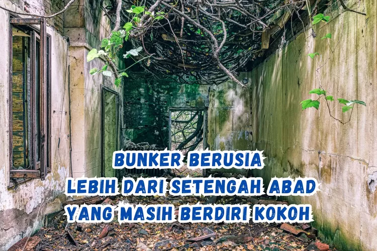 Bunker Jepang Di Kendari? Usianya Lebih Dari Setengah Abad, Tapi ...