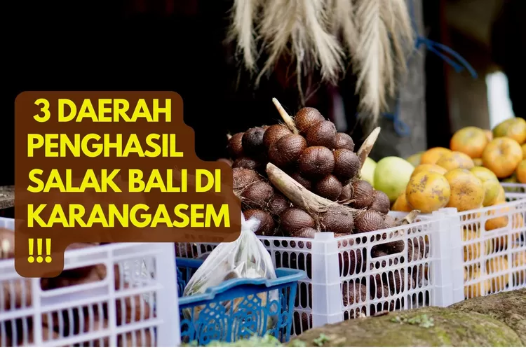 Inilah 3 Kecamatan Penghasil Buah Salak Bali Terbesar Di Karangasem ...