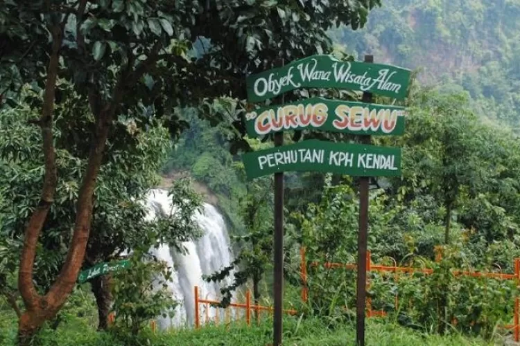 Air Terjun Setinggi 650 Mdpl Di Kendal, Jadi Air Terjun Tertinggi Di 