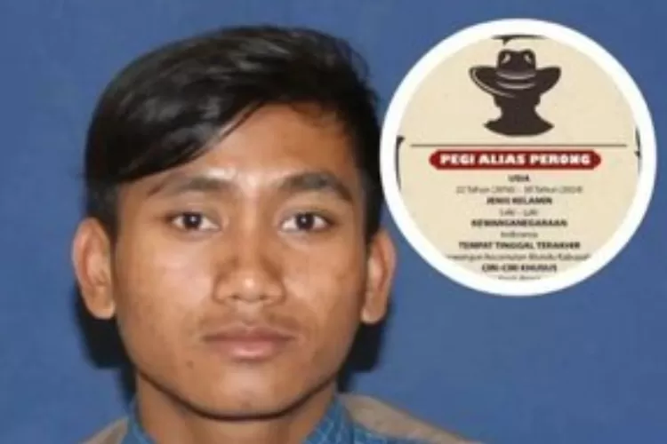 3 Teori Konspirasi Sosok Pegi, Tersangka Kasus Pembunuhan Vina Cirebon ...