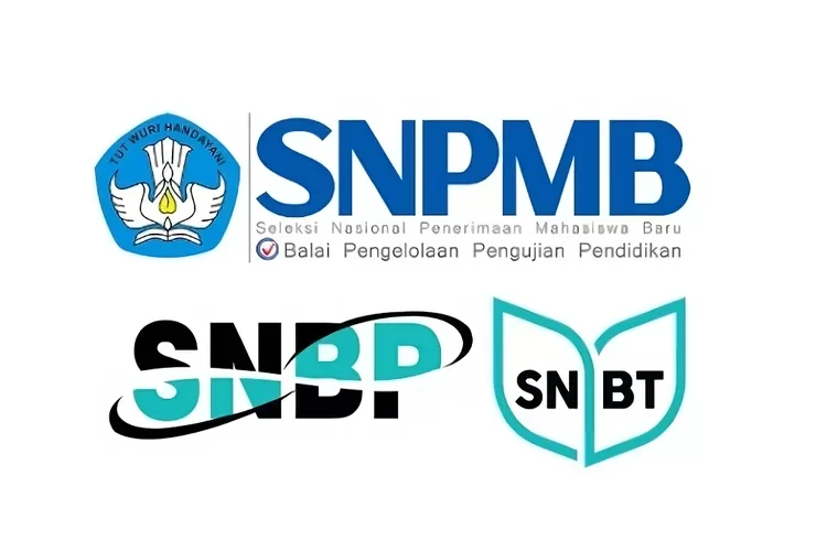 3 Cara Mengatasi Website Pengumuman UTBK SNBT SNPMB BPPP Kemdikbud 2024 ...