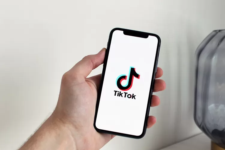 Ilustrasi TikTok Affiliate harus punya 600 followers per tanggal 12 November 2024  (Pixabay.com/antonbe)