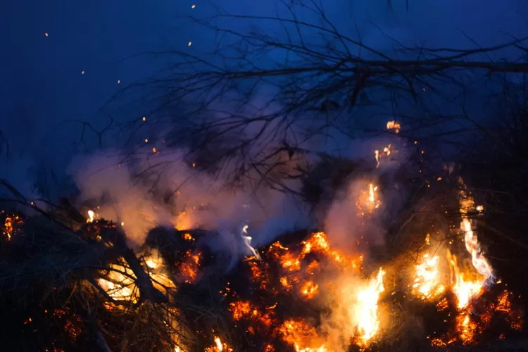 Ilustrasi kebakaran di Los Angeles Amerika Serikat dikaitkan dengan surat Al Baqarah 266  (Pexels.com/Plato Terentev)