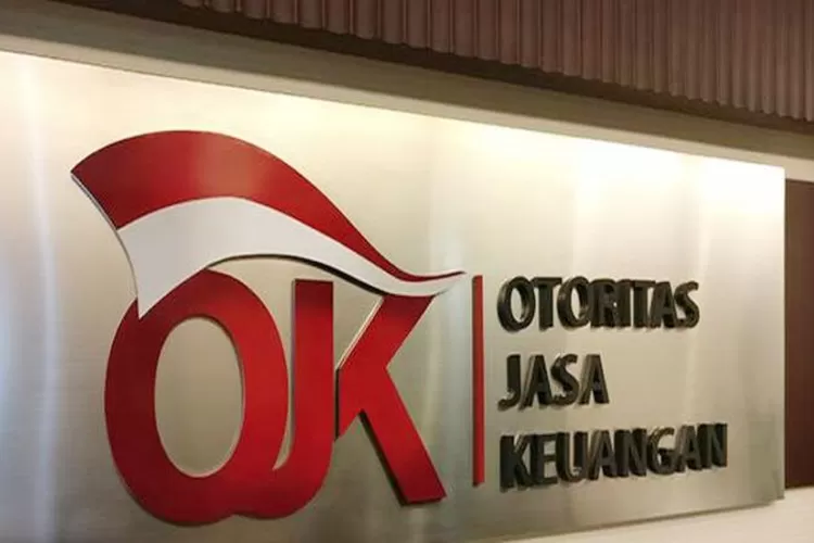 Dua Perusahaan Pinjol Disanksi OJK, Ada yang Dicabut Izinnya (pinterest.com)