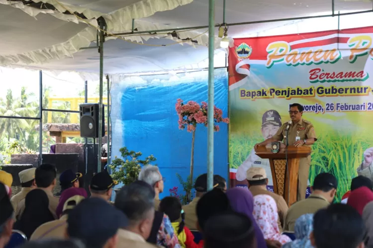 Pesan Pj Gubernur Jateng Saat Panen Raya Padi Di Purworejo Pemerintah Desa Dan Kabupaten Untuk