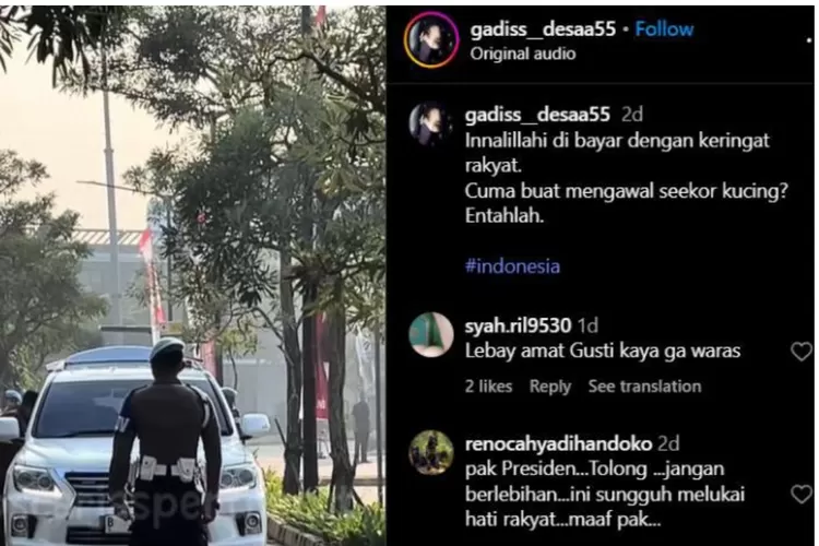 Unggahan warganet terkait pengawalan kucing peliharaan Presiden Prabowo, Bobby Kertanegara. (Instagram.com/@gadiss_desaa55)