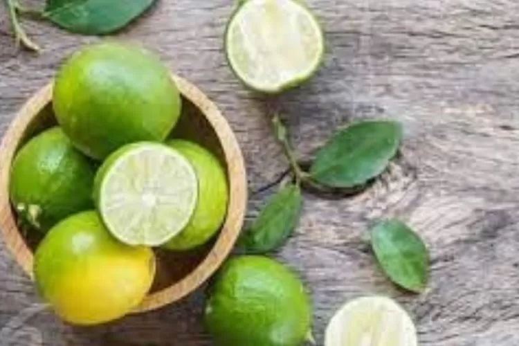 Ilustrasi. Tak hanya buahnya, ternyata daun jeruk nipis juga punya banyak manfaat kesehatan.