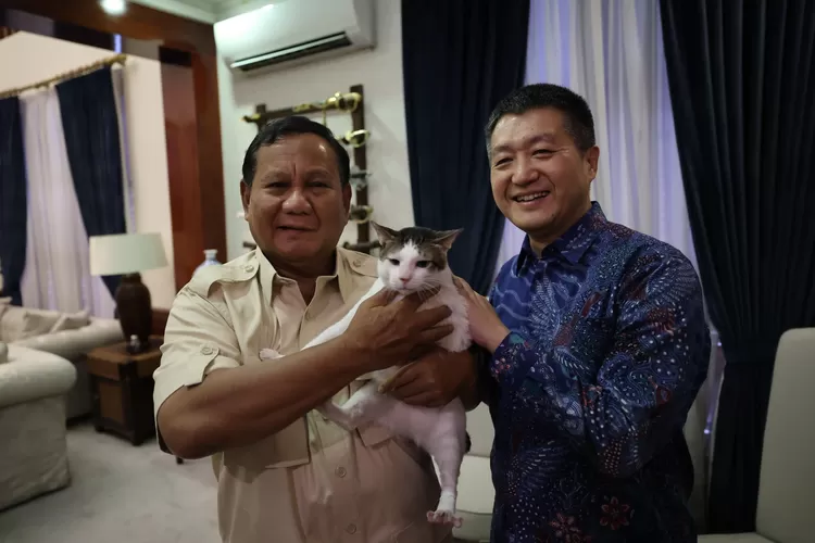 Momen istimewa Bobby, kucing kesayangan Prabowo, menemani capres no 02 menerima kunjungan Duta Besar China untuk Indonesia, Lu Kang di kediamannya di Jalan Kertanegara, Jakarta Selatan, Minggu (17/2/2024). 