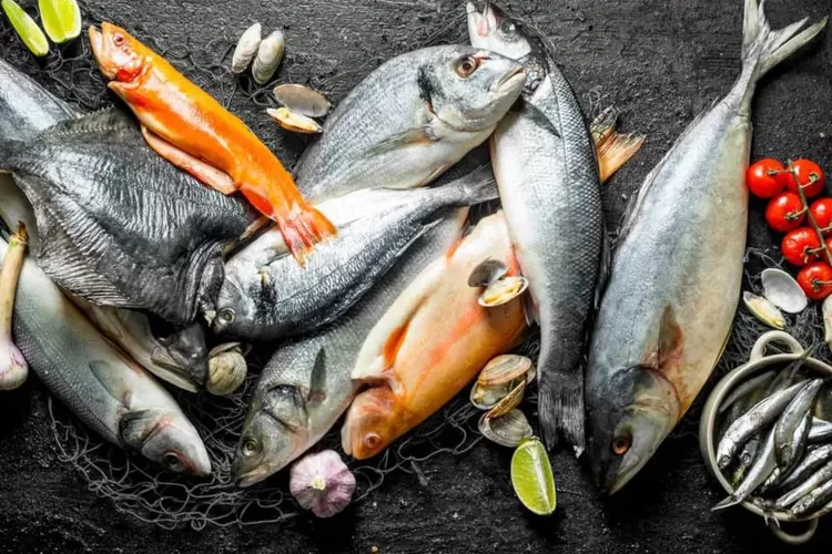 Ikan dengan kandungan omega 3 yang bagus untuk kecerdasan otak anak tak hanya ada pada salmon dan tuna.