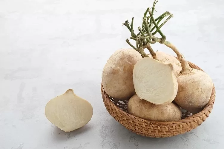 Bengkuang ternyata memiliki banyak manfaat kesehatan yang dibutuhkan bagi kaum perempuan.