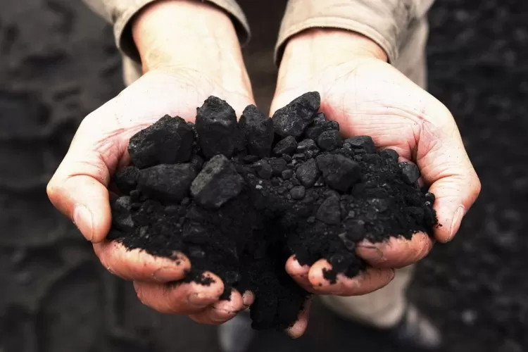 Ilustrasi biji batubara. PGI menyatakan tegas menolak tawaran izin pengelolaan tambang. 