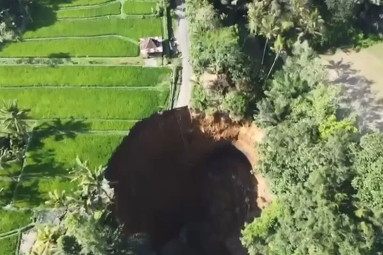 Ilustrasi: Fenomena sinkhole di Indonesia bisa terjadi di wilayah berbatu kapur. Cari tahu penyebab dan potensi bahayanya di sini! (Sinkhole di Kedisan, Tegallalang, Gianyar,  / HukamaNews.com)