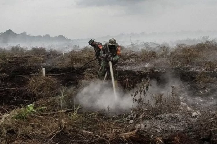 Kalbar mencekam dengan 2.466 titik panas! Apakah 11 kabupaten siap hadapi ancaman karhutla? Temukan info terkini dan langkah antisipasi! (BPPD Kalbar / HukamaNews.com)