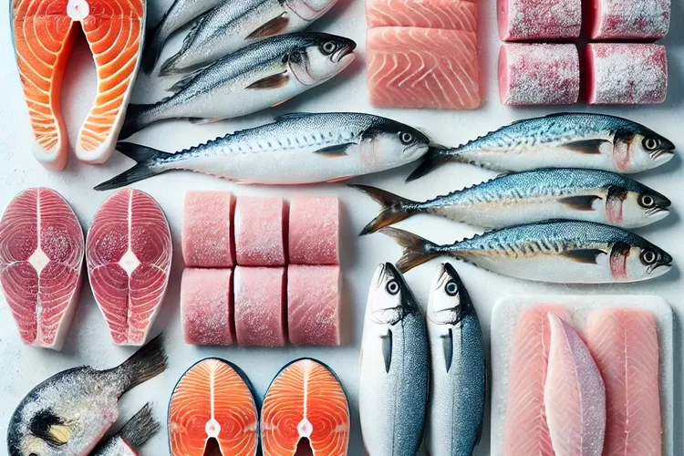 Ilustrasi aneka jenis ikan laut. Tak semua jenis ikan laut bisa dimakan karena terpapar merkuri yang melebihi ambang batas aman untuk dikonsumsi.