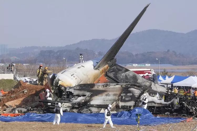 Tragedi Jeju Air: Pesawat gagal mendarat, 179 tewas. Burung masuk mesin diduga penyebab utama. Simak kronologinya di sini! (Antara / HukamaNews.com)