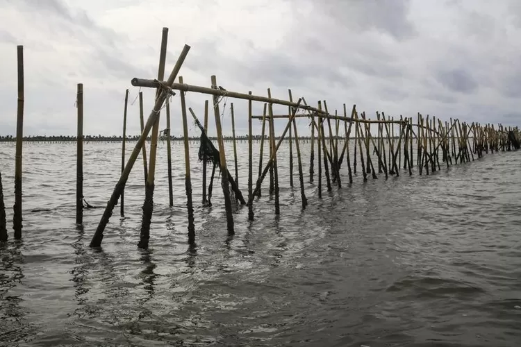 Pagar misterius di laut Tangerang rusak mata pencaharian nelayan. KKP ambil langkah tegas, pagar disegel. (Antara / HukamaNews.com)