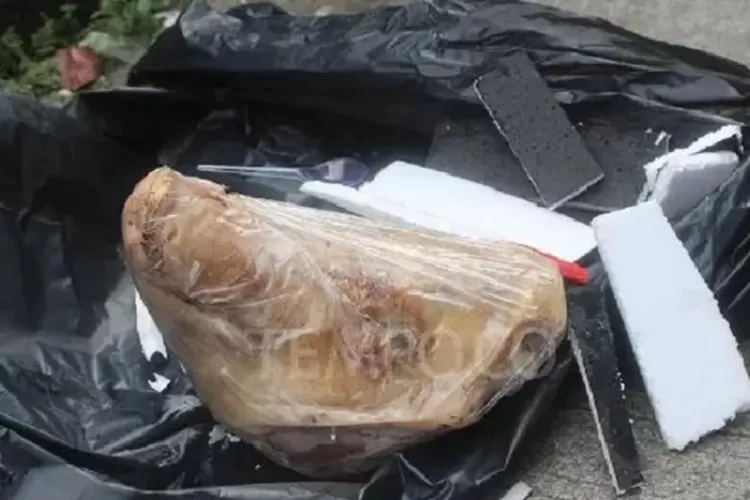 Polisi ungkap pengirim teror kepala babi ke Tempo ternyata lewat ojol  (HukamaNews.com / TEMPO)