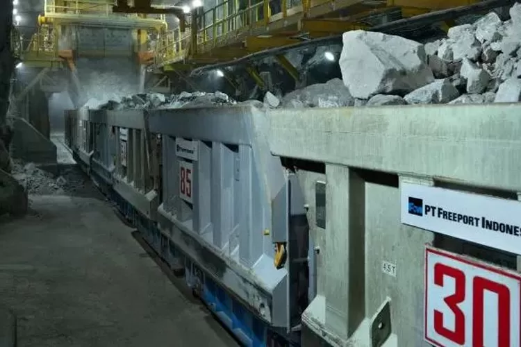 Lokasi tambang di kawasan Freeport Indonesia Papua, Rabu (23/4)  (Elizabeth Widowati )