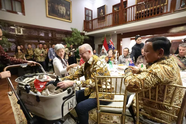 Momen unik PM Australia hadiahkan syal ke kucing Prabowo curi perhatian di tengah makan malam resmi di Istana Merdeka. (HukamaNews.com / Dok. Promedia)