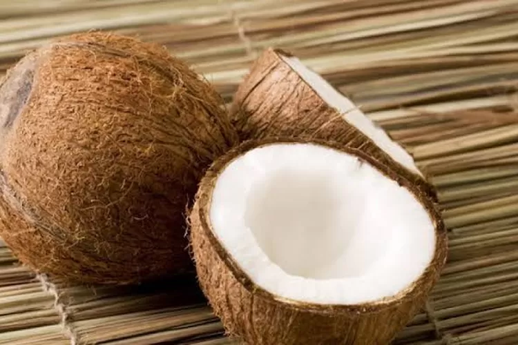 Ilustrasi tingginya permintaan ekspor komoditas kelapa ke China membuat pasar domestik kalang kabut. (Elizabeth Widowati )