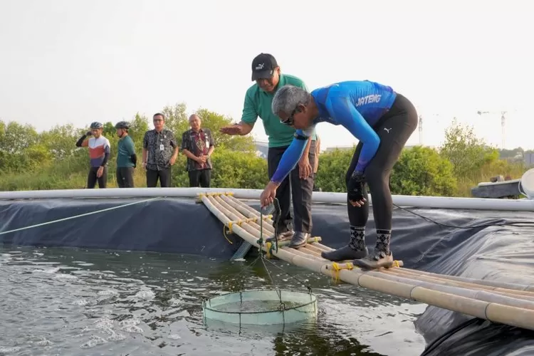 Lokasi tambak udang vaname yang terletak di Jalan Karanganyar, Tugu, Kawasan Industri Wijayakusuma, Kelurahan Karanganyar, Kecamatan Tugu, Semarang, Selasa (2/6) (Elizabeth Widowati )