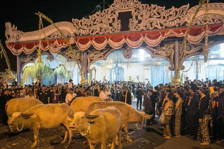 Saksikan Kirab 1 Suro Mangkunegaran 2025 di Solo: prosesi sakral penuh makna, jadwal lengkap dan panduan busana tradisional. (HukamaNews.com / Antara)