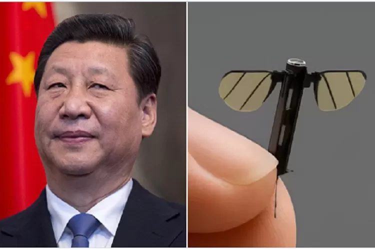 Keunggulan China di bidang teknologi dan militer sudah diakui dunia, termasuk drone super mini seukuran nyamuk (Ist)