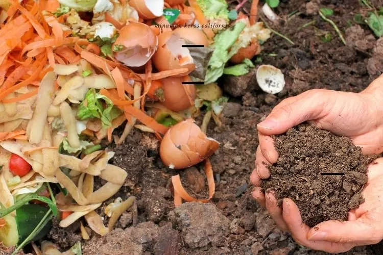 Ilustrasi. Program CEMERLANG merupakan ikhtiar PRM Slerok Tegal mengubah sampah menjadi berkah .engan Inovasi dan Edukasi