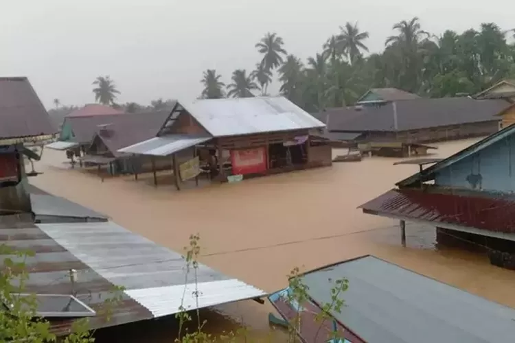 Banjir besar merendam permukiman di Sumatera Utara. (HukamaNews.com / Istimewa)