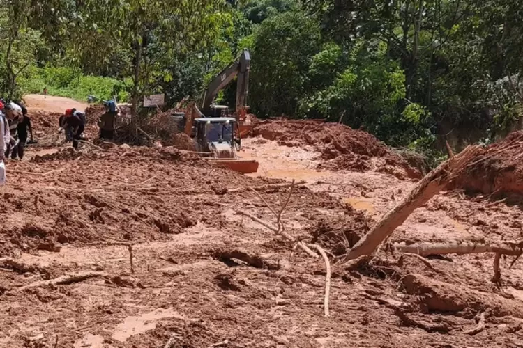 Bentang hutan Sumatera yang terancam ekspansi tambang. (HukamaNews.com / Net)