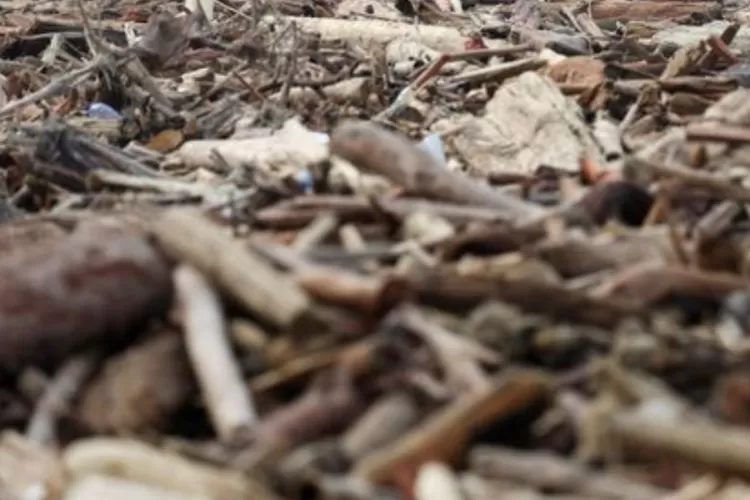 Kayu gelondongan mengepung rumah warga pasca banjir bandang Aceh-Sumatera. (HukamaNews.com / Net)