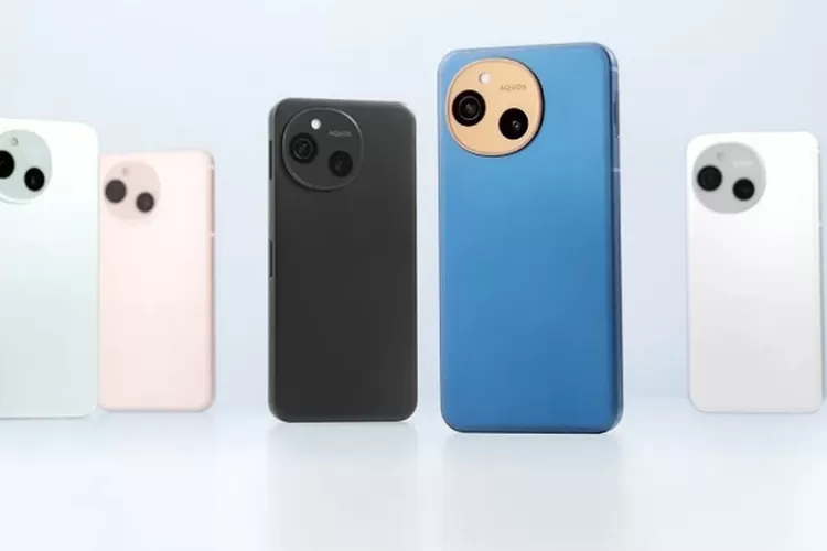 Tampilan Sharp Aquos Sense10 dengan layar IGZO OLED dan desain compact. (HukamaNews.com / Jagat Review)