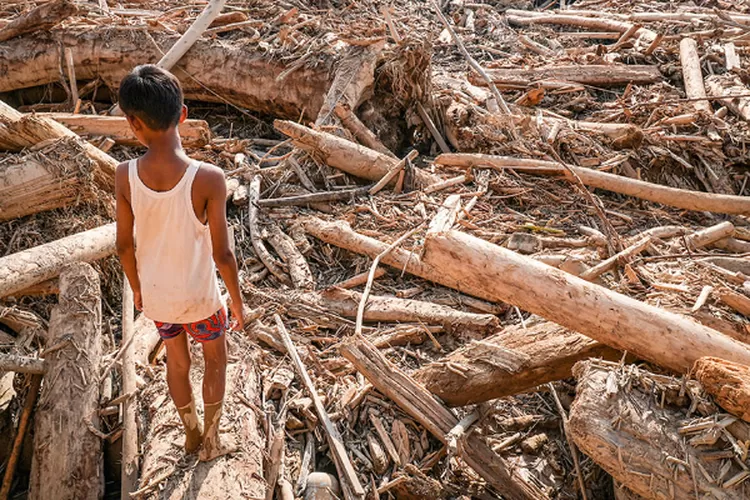 Bocah melintasi tumpukan kayu pascabanjir bandang di Aceh Tamiang. (HukamaNews.com / Net)