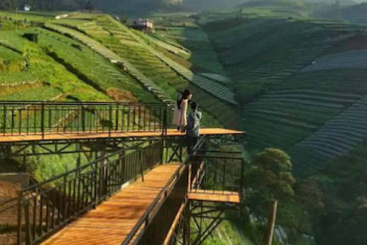 Terasering Sitegong salah satu hidden gem di Magelang  (GoogleMaps/alasroban)