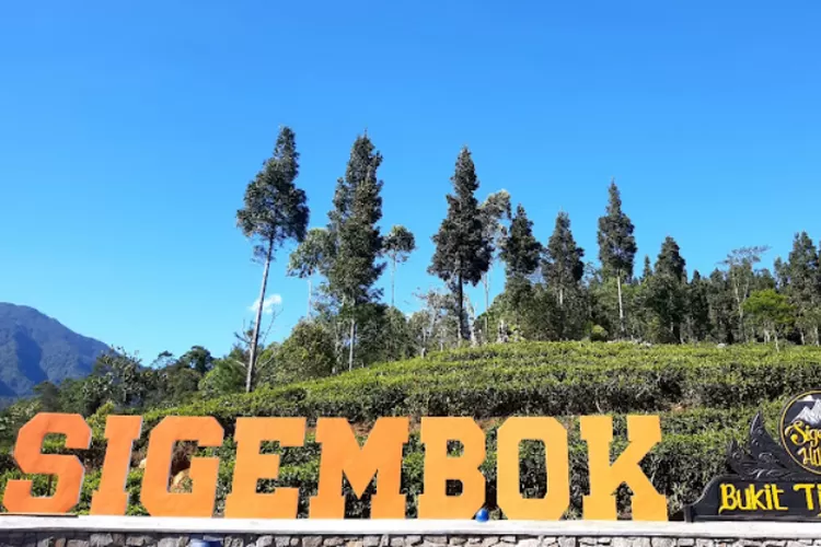 Sigembok Hill Top: Spot Healing Di Batang Dekat Dengan Dieng ...