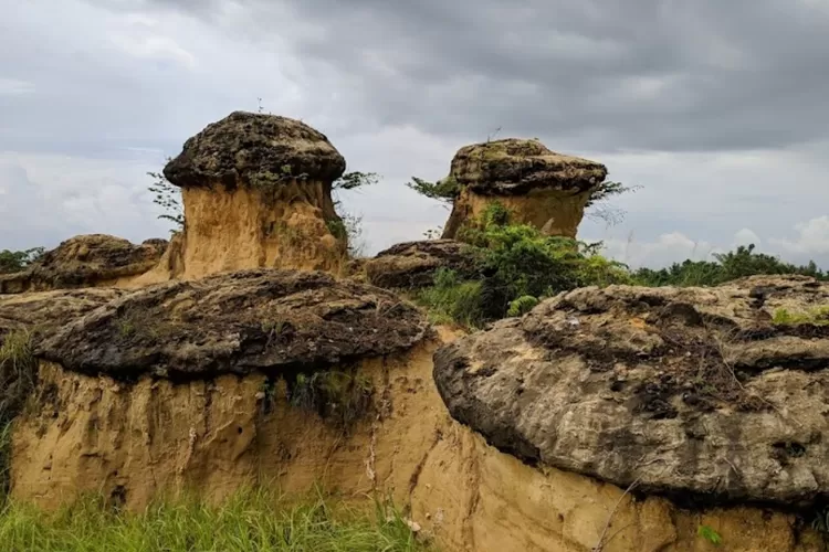 Di Gresik Ada Bukit Jamur: Wisata Unik Bak Surga Tersembunyi Ini Suguhi ...