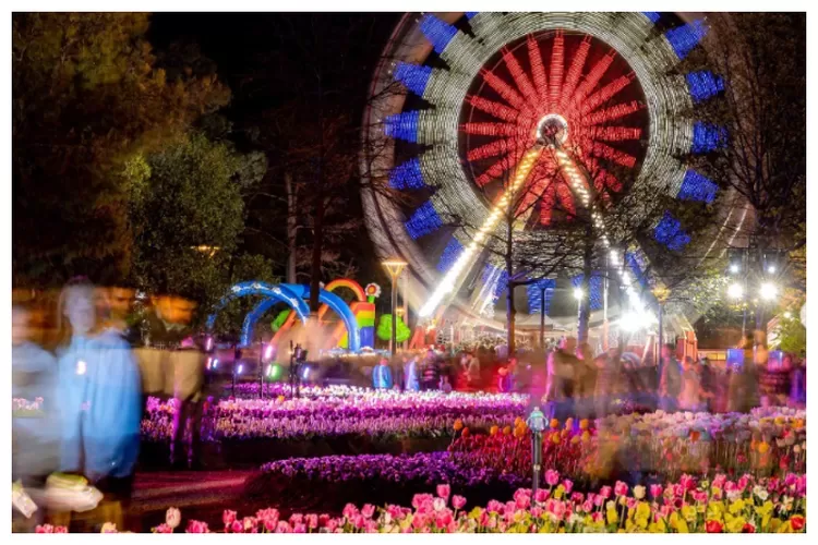 Canberra, ibukota Australia yang sepi. Memiliki festival bunga yang unik dan banyak tempat bersejarah. (Bonsernews.com/ Instagram/ @visitcanberrra)