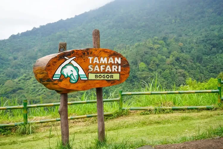 Promo Taman Safari Bogor Ini Hanya Sampai 17 Desember, Ambil Tiket ...