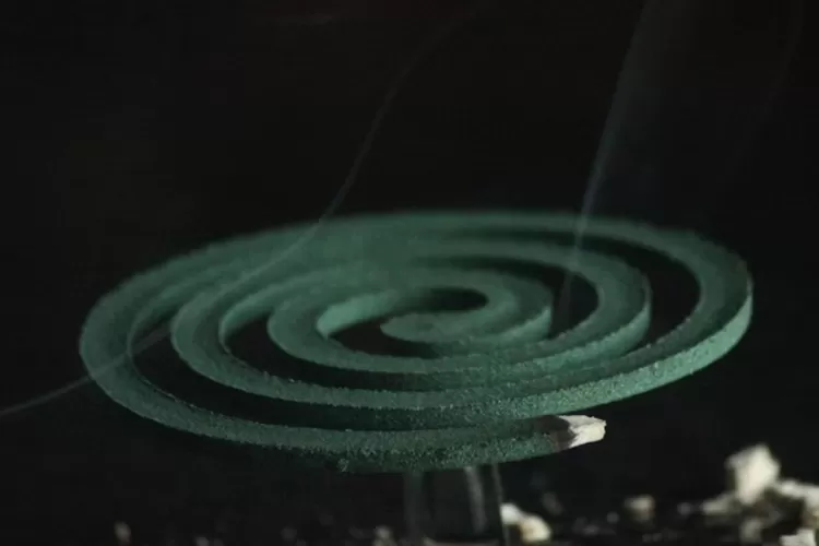 Foto Ilustrasi - Obat nyamuk mengandung beberapa bahan aktif yang membuatya efektif membasmi nyamuk dan serangga.  (Unsplash/Ronald Langeveld)