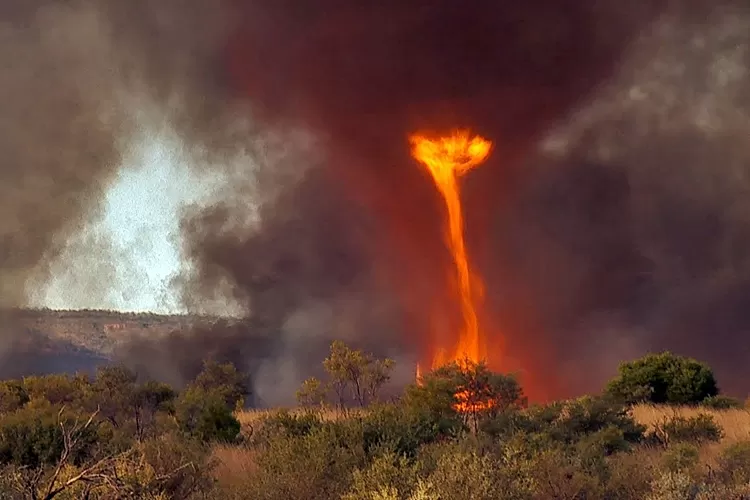 Ngeri! Muncul Tornado Api Saat Kebakaran Di Bukit Teletubbies Kawasan ...