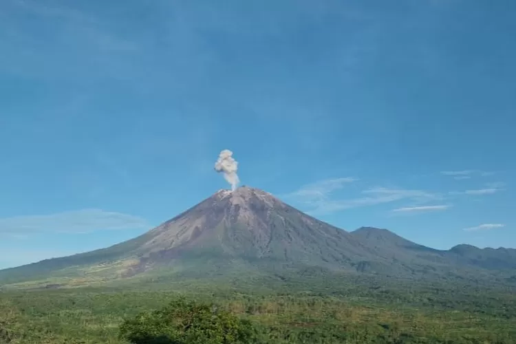 Waspada Erupsi Gunung Semeru (Tangkap Layar PVMBG Semeru)