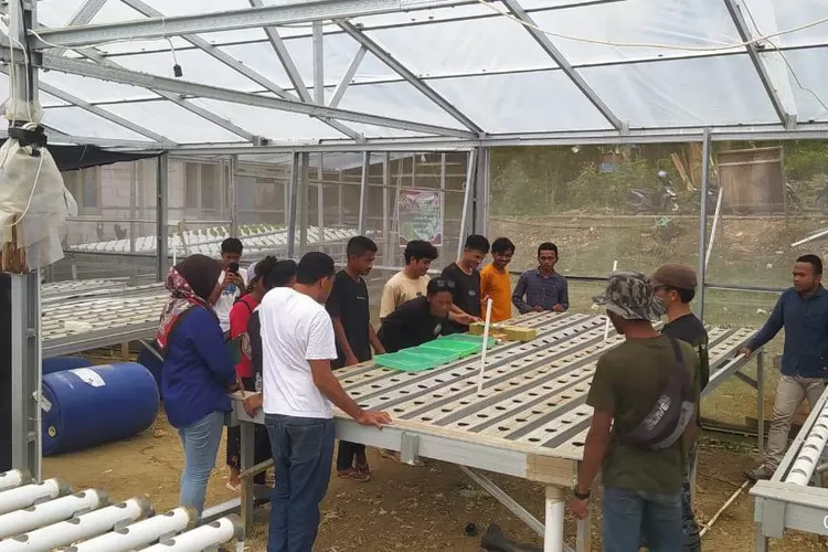 Kelompok budidaya sayur hidroponik di Desa Gorontalo, Manggarai Barat.