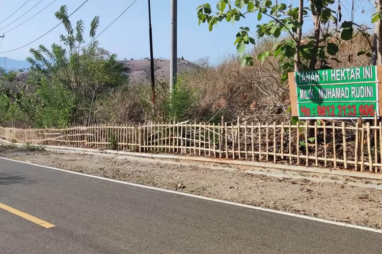 Memori banding sudah disampaikan Santosa Kadiman dan keluarga Naput atas putusan nomor 1/Pdt.G/2024/PN Lbj.