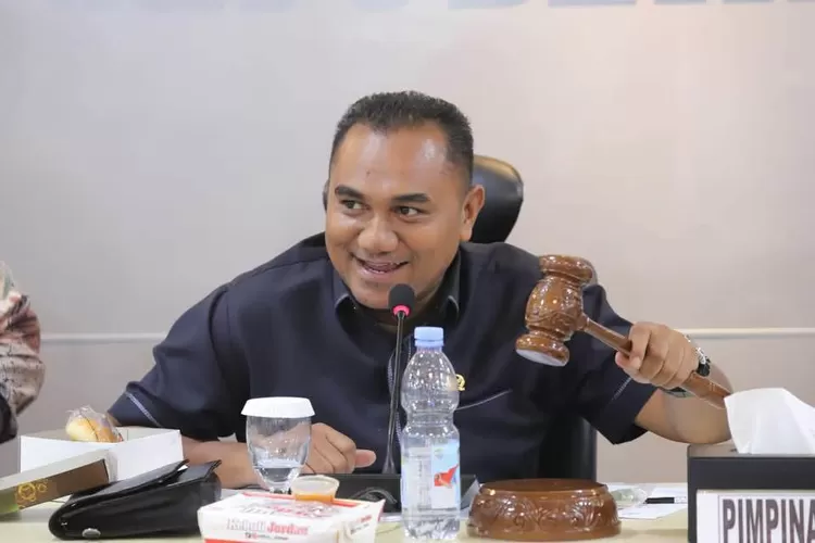 Wakil Ketua Komite II Dewan Perwakilan Daerah (DPD) RI, Angelo Wake Kako.